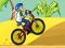 BMX Boy Online – kostenloses Online-Spiel