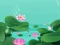 Lotus Flowers – kostenloses Online-Spiel