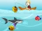 Novice Fisherman – kostenloses Online-Spiel