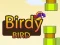 Birdy Bird – kostenloses Online-Spiel