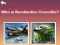 Guess Brainrot – kostenloses Online-Spiel