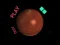 Space Car – kostenloses Online-Spiel