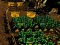 Pixel Farm – kostenloses Online-Spiel