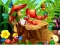 Hidden Objects Insects – kostenloses Online-Spiel