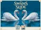 Swans Slide – kostenloses Online-Spiel