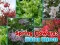 Spring Flowers: Hidden Objects – kostenloses Online-Spiel