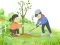 Arbor Day Puzzle – kostenloses Online-Spiel