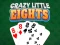 Crazy Little Eights – kostenloses Online-Spiel