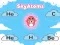 SkyAtoms – kostenloses Online-Spiel