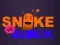Snake vs Blocks – kostenloses Online-Spiel