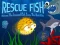 Rescue Fish – kostenloses Online-Spiel