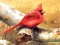 Art Birds Puzzle – kostenloses Online-Spiel