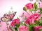 Butterflies Puzzle – kostenloses Online-Spiel