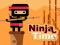 Ninja Time – kostenloses Online-Spiel