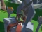 Lazy Orcs: Arena – kostenloses Online-Spiel