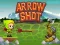 Arrow Shoot – kostenloses Online-Spiel