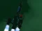 Spacecraft II – kostenloses Online-Spiel