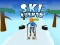 Ski Rush 3d – kostenloses Online-Spiel