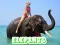 Elephants Puzzle – kostenloses Online-Spiel