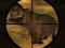 Classical Hippo Hunting – kostenloses Online-Spiel