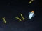 5 Minutes in Space – kostenloses Online-Spiel