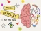 Brain Puzzles Quests – kostenloses Online-Spiel