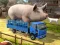 Driver Master Simulator – kostenloses Online-Spiel