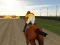 Horse Ride Racing – kostenloses Online-Spiel