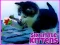 Six Little Kittens – kostenloses Online-Spiel