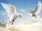 Flying Birds – kostenloses Online-Spiel