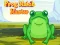 Frog Match Master – kostenloses Online-Spiel