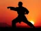 Karate Sunset Warriors – kostenloses Online-Spiel