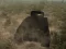 Tank Battle – kostenloses Online-Spiel