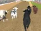 Angry Bull Racing – kostenloses Online-Spiel