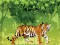 Angry Tiger Coloring – kostenloses Online-Spiel