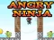 Angry Ninja – kostenloses Online-Spiel