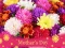 2019 Mother's Day Puzzle – kostenloses Online-Spiel