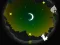 Alpaca Run – kostenloses Online-Spiel