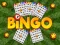 Bingo – kostenloses Online-Spiel
