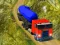 Indian Cargo Truck Simulator – kostenloses Online-Spiel