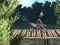 Bike Trial Xtreme Forest – kostenloses Online-Spiel