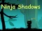 Ninja Shadows – kostenloses Online-Spiel