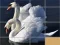 Animals Slide Puzzle – kostenloses Online-Spiel