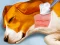 Dog Hospital – kostenloses Online-Spiel