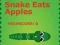 Snake Eats Apples – kostenloses Online-Spiel