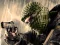 Terrorist Shootout – kostenloses Online-Spiel