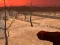 Wasteland Shooters – kostenloses Online-Spiel