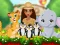 Moana Cute Zoo – kostenloses Online-Spiel