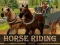 Horse Riding Simulator – kostenloses Online-Spiel