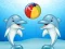 Dolphin Show – kostenloses Online-Spiel